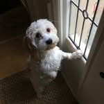 Eric Mudd - @ecmudd - Instagram