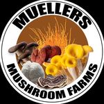 Eric Mueller - @muellersmushroom - Instagram