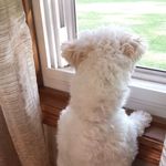 Eric Muench - @muench2845 - Instagram