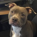 Eric Musser - @freakdesign - Instagram