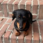Eric naberhuis - @eric_naberhuis - Instagram
