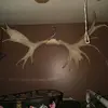eric nadeau - @ericnadeau0 - TikTok