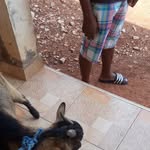 Eric Narh - @eric.narh.5661 - Instagram