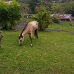 Eric Negron - @eric.negron.125 - Instagram