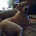 Eric Neill - Facebook