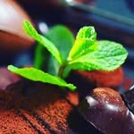 Erik Neugebauer - @neugebauere12 - Instagram