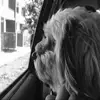 ericrneuman - @ericrneuman - TikTok