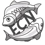 eric neumann - @ecn.fishing - Instagram