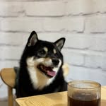 Eric Ngai - @ericngai123 - Instagram