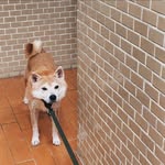 Eric Ngai - @ngaiieric - Instagram