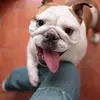 ericngai8 - @ericngai8 - TikTok