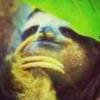 ᄌMrSuicideGoat - @ericnight01 - TikTok