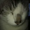 Erick sprite - @erick_night1 - TikTok