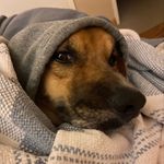 Eric Nightingale - @t.e.nightingale - Instagram