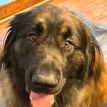 Eric Noblitt - @ericnoblitt - Instagram