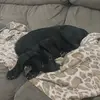 eric - @eric.noda1 - TikTok