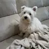 Eric Noguera pro 444 - @eric_noguera_pujol_yt - TikTok