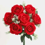 Erica Nolle - Facebook