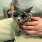 Eric Noone - @eric_noone - Instagram