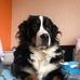 Eric Nordin - Facebook