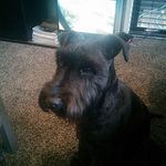 Eric Noreen Johnson - @eric.johnson.9674 - Instagram