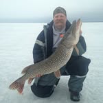 Eric Normann - @ericnormann - Instagram