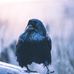 Erich Nordenbrock - Facebook