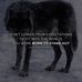 Eric Northrup - Facebook