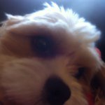 Erik Northrup - @erik_north_ - Instagram