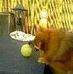 Eric-jan Nous - Facebook