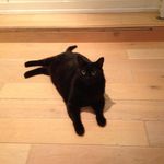 Eric Nowak - @eric.nowak.735 - Instagram