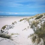 Eric Nowakowski - @nono281263 - Instagram