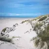 ericnowakowski0 - @ericnowakowski0 - TikTok