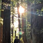 Eric Nusbaum - @gardenerofdreams - Instagram
