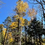 Eric Ocegueda - @eric.dano2269 - Instagram