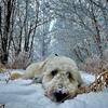 ericoestreich963 - @ericoestreich963 - TikTok