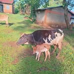 K'Olare Errick - Facebook