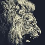Eric olvera - @olverakidking - Instagram