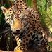 Erick Ontiveros - Facebook