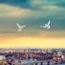 Eric Osinski - Facebook