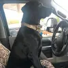 michelleostbyeric - @michelleostbyeric - TikTok