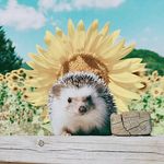 ericitos posting.~ - @ericitosposting - Instagram