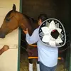eric osuna - @airsybearsy - TikTok
