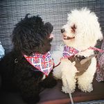 Eric and Otis - @eric.and.otis_ - Instagram