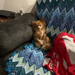 Eric Ott - Facebook