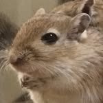 Eric Ottinger - @eric.ottinger - Instagram
