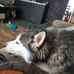 Eric Ottwell - Facebook