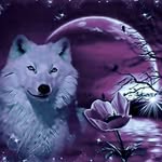 Eric Ottwell - @otter1381 - Instagram