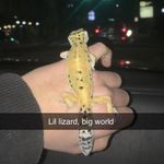 Eric Forsman Randal Overby - @eric.the.lizard - Instagram
