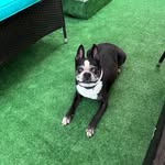Melissa Overmiller Richards - @mjbarshinger - Instagram